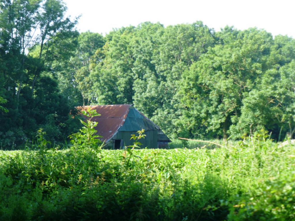 Lutje Hoeske Tinallinge Luaran gambar